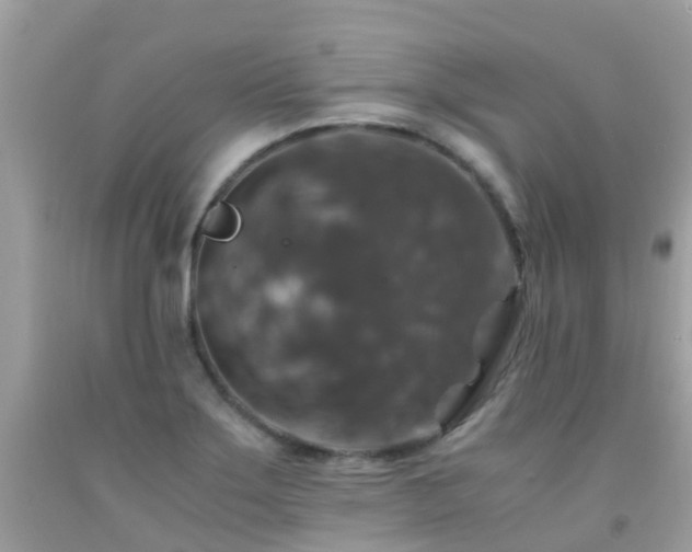 X0000091941275200709051515