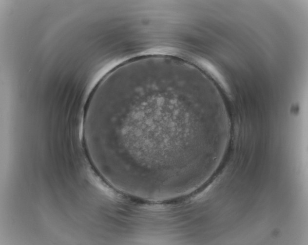 X0000091941276200709051515