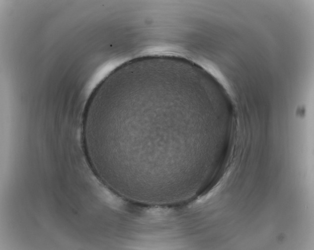 X0000091941277200709051515