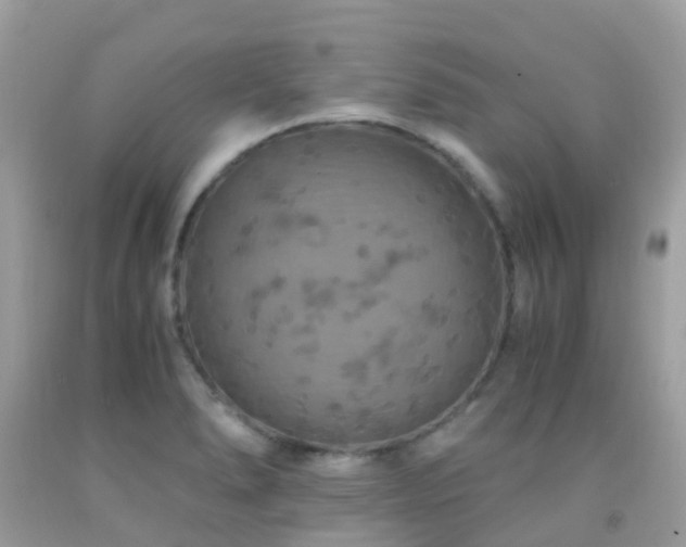 X0000091941278200709051515