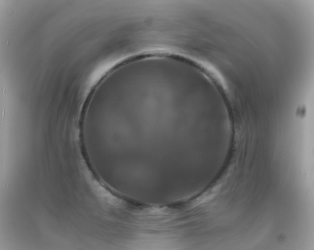 X0000091941279200709051515