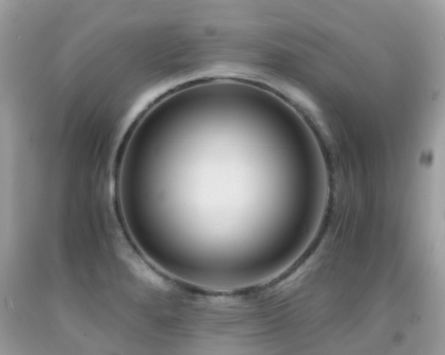 X0000091941280200709051515