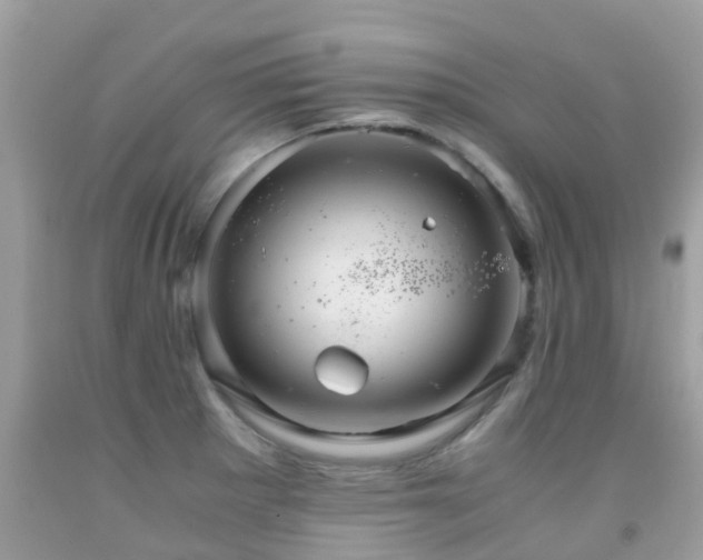 X0000091941281200709051515