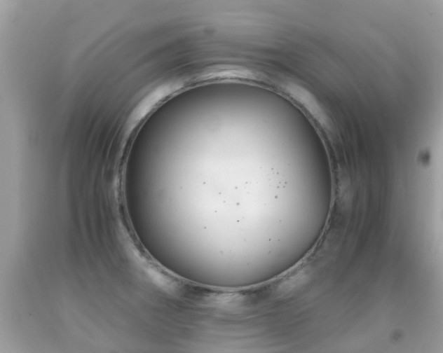 X0000091941282200709051515