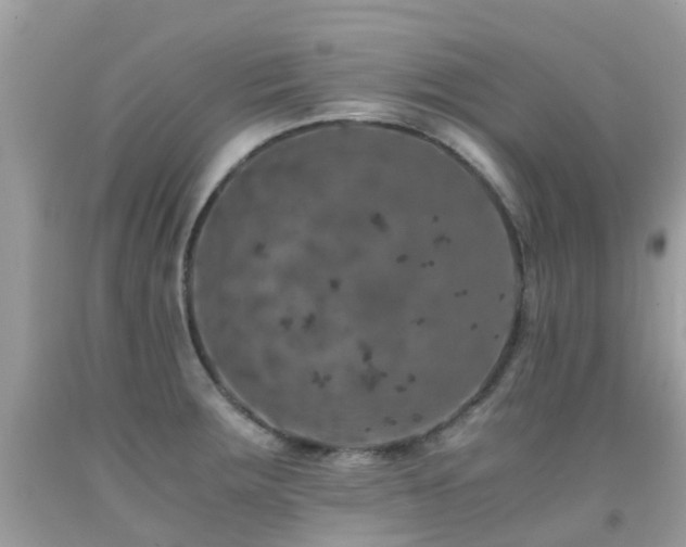 X0000091941283200709051515