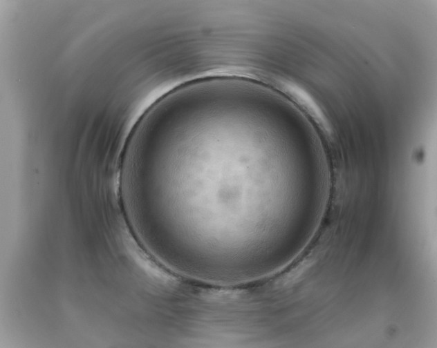 X0000091941284200709051515