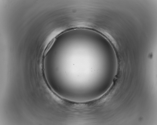 X0000091941285200709051515