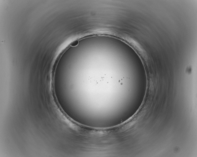 X0000091941286200709051515