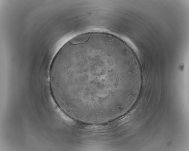 X0000091941287200709051515