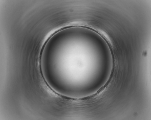 X0000091941288200709051515