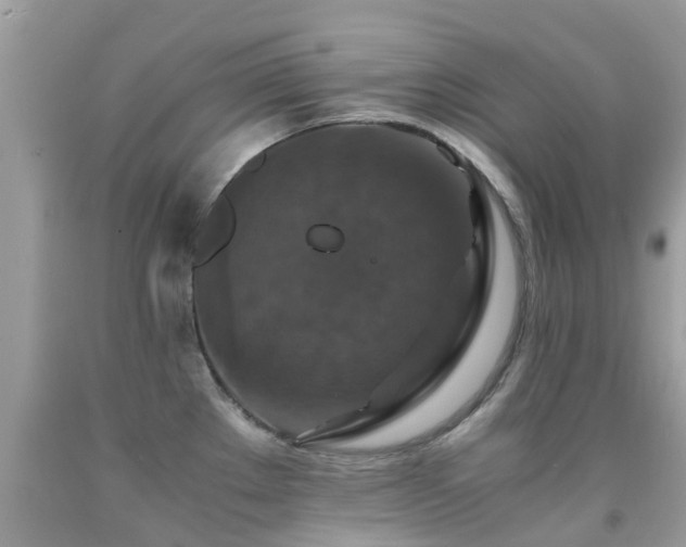 X0000091941289200709051515