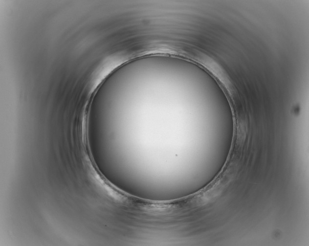 X0000091941290200709051515