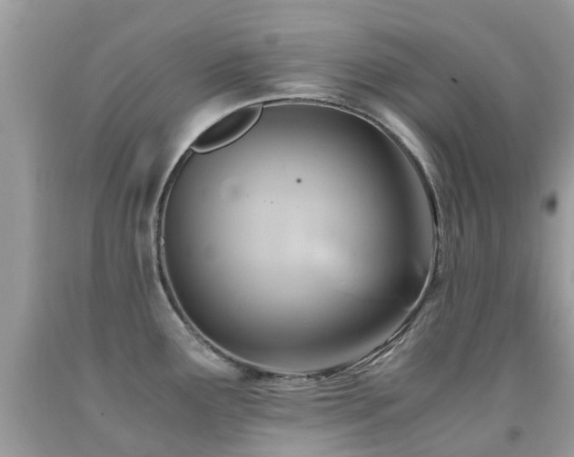 X0000091941291200709051515