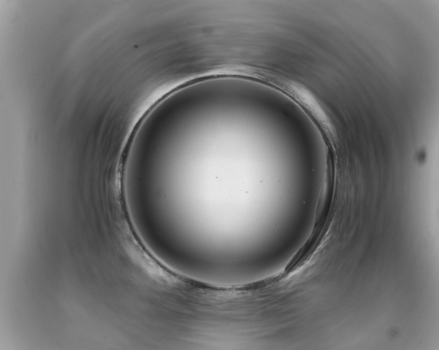 X0000091941292200709051515