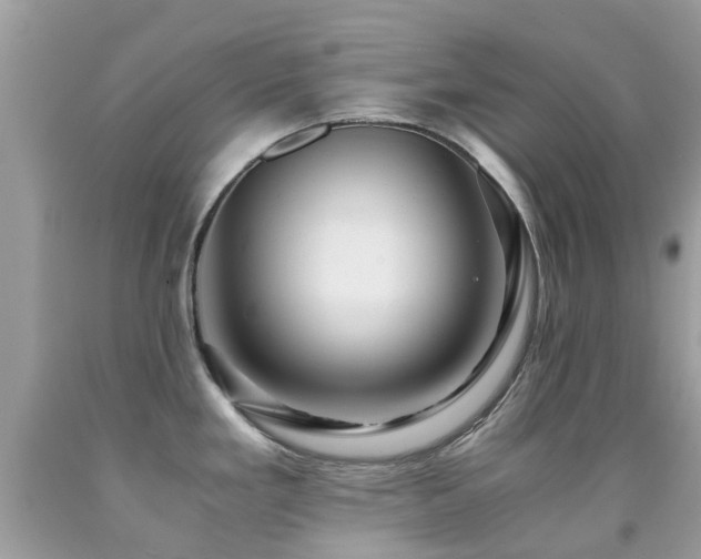 X0000091941293200709051515