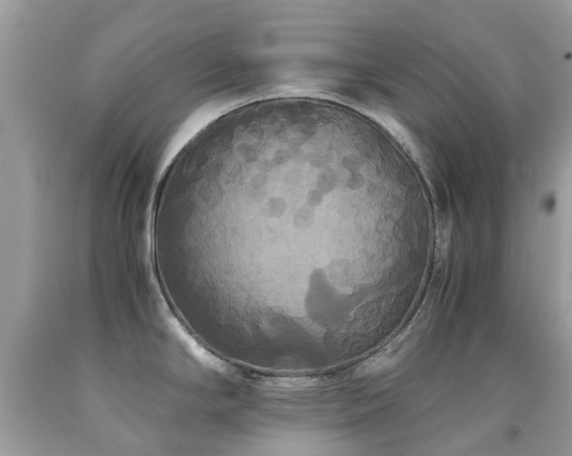 X0000091941294200709051515