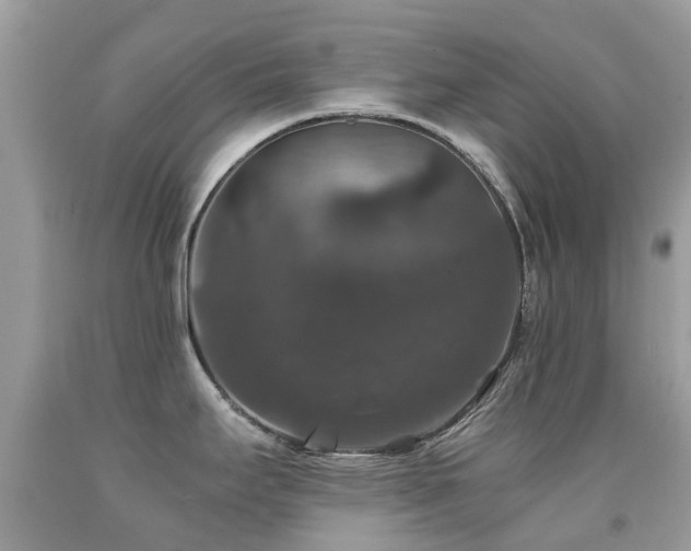 X0000091941295200709051515