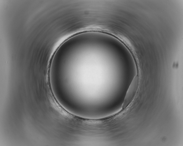 X0000091941296200709051515