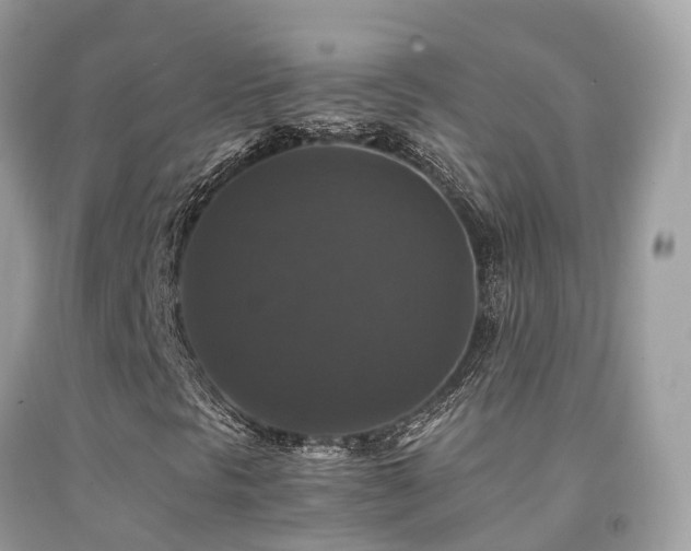 X0000091941297200709051514