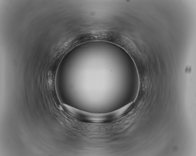 X0000091941298200709051514