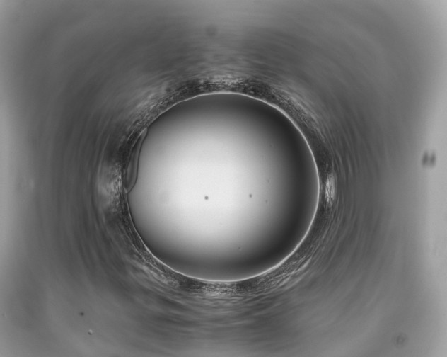 X0000091941299200709051514