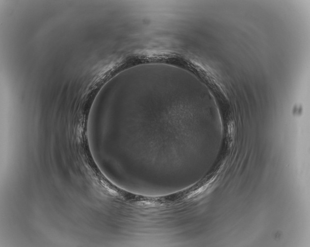 X0000091941300200709051514