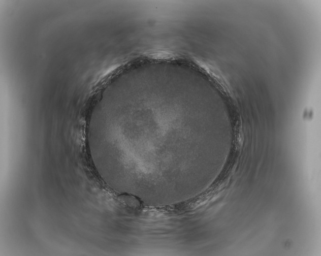 X0000091941301200709051514