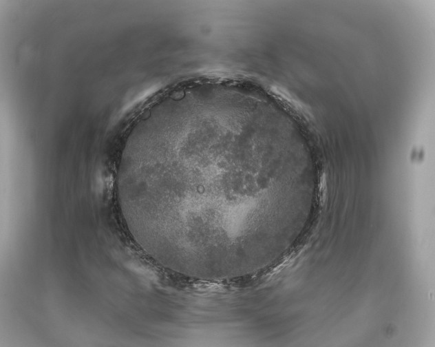 X0000091941302200709051514