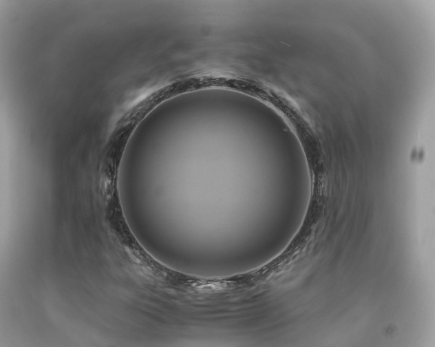 X0000091941303200709051514