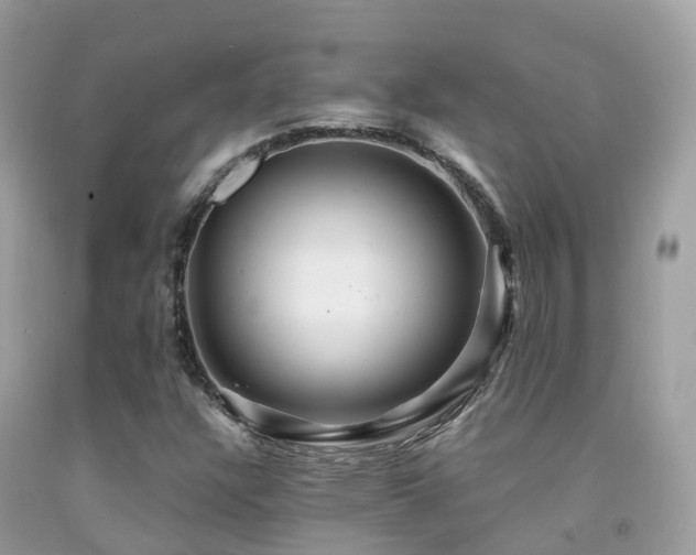 X0000091941304200709051514