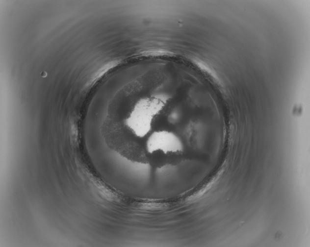 X0000091941305200709051514