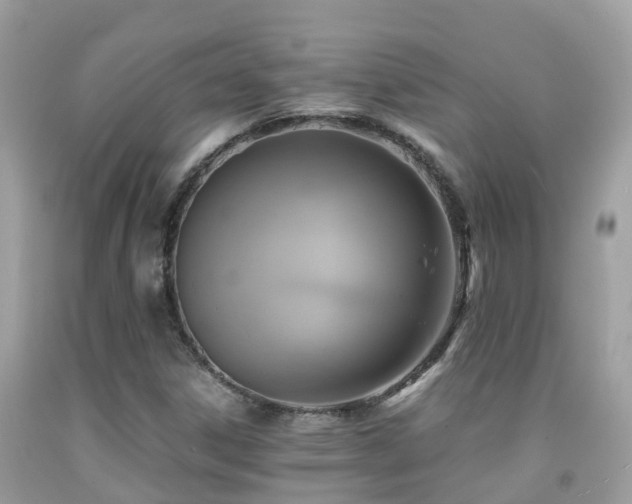 X0000091941306200709051514