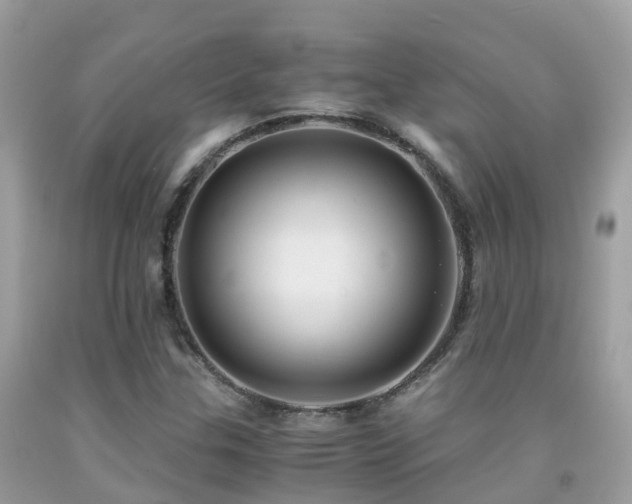 X0000091941307200709051514