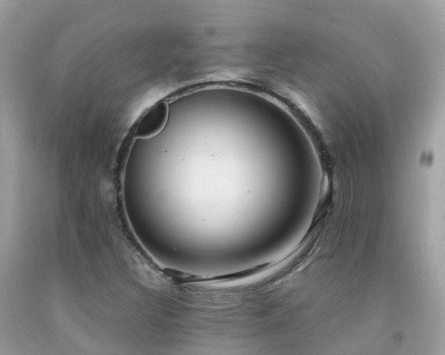 X0000091941308200709051514