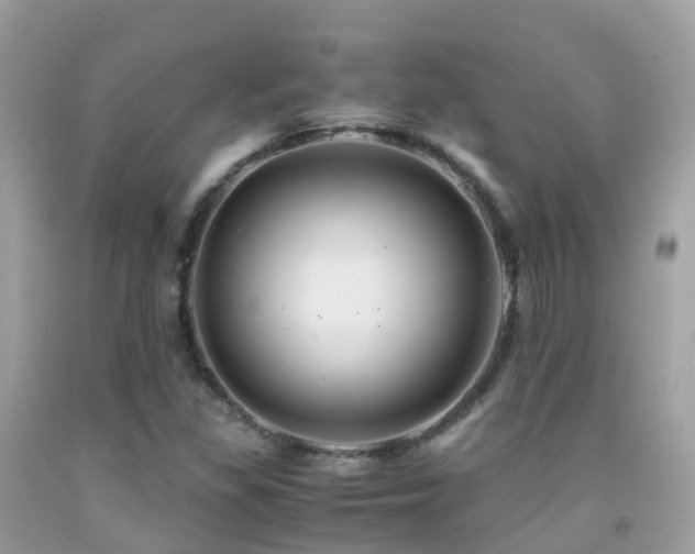 X0000091941309200709051514