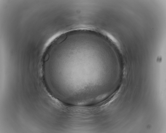 X0000091941310200709051514