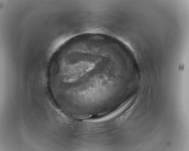 X0000091941311200709051514