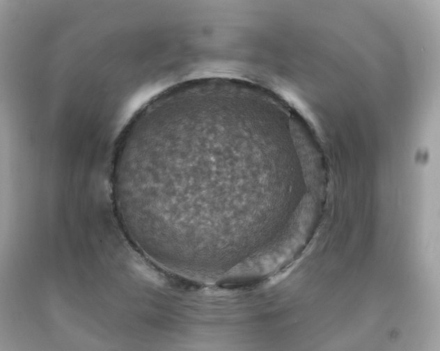 X0000091941312200709051514