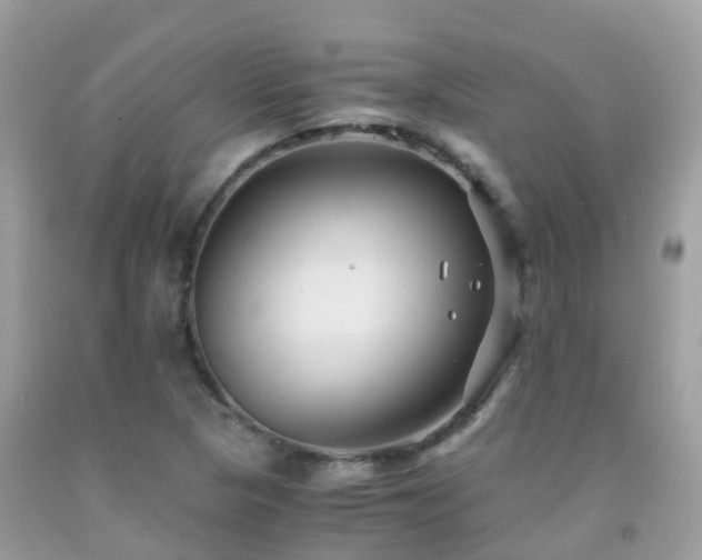 X0000091941313200709051514