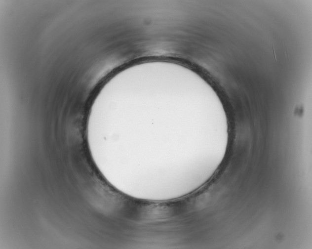 X0000091941314200709051514