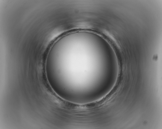 X0000091941315200709051514