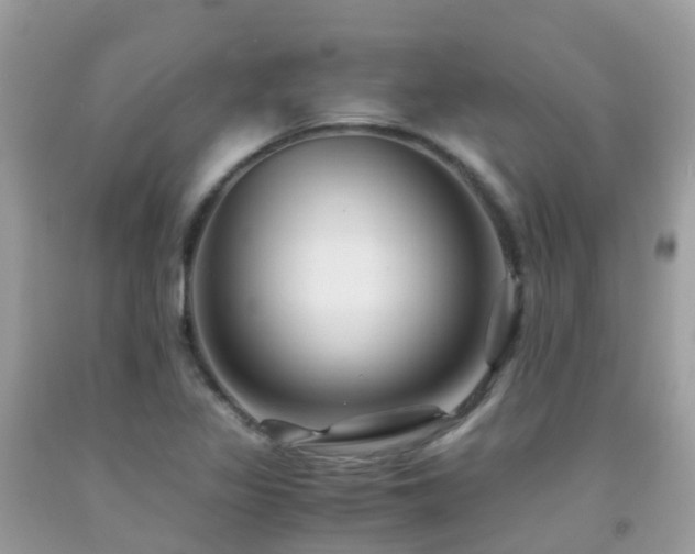 X0000091941317200709051514