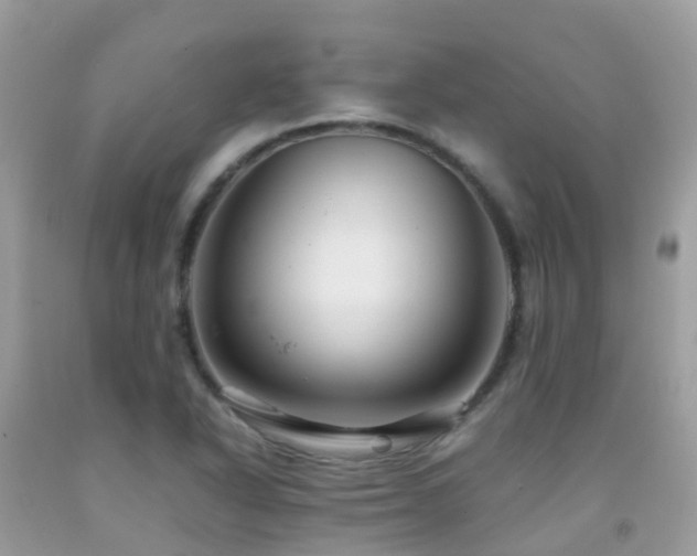 X0000091941318200709051514