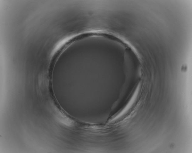 X0000091941319200709051514