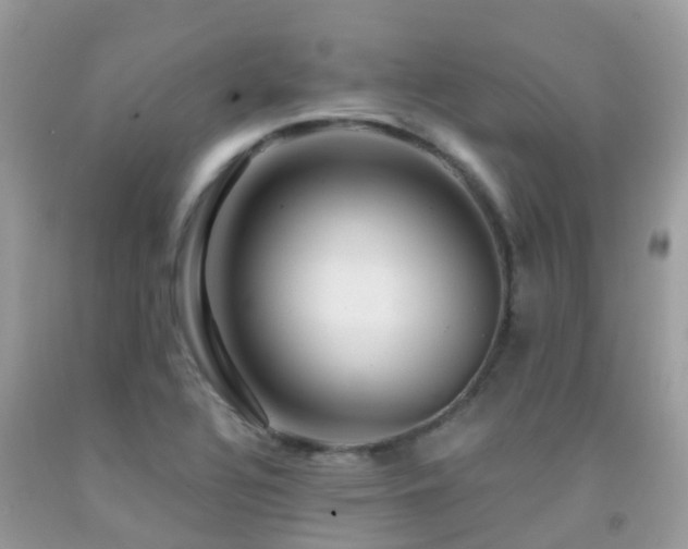 X0000091941320200709051514