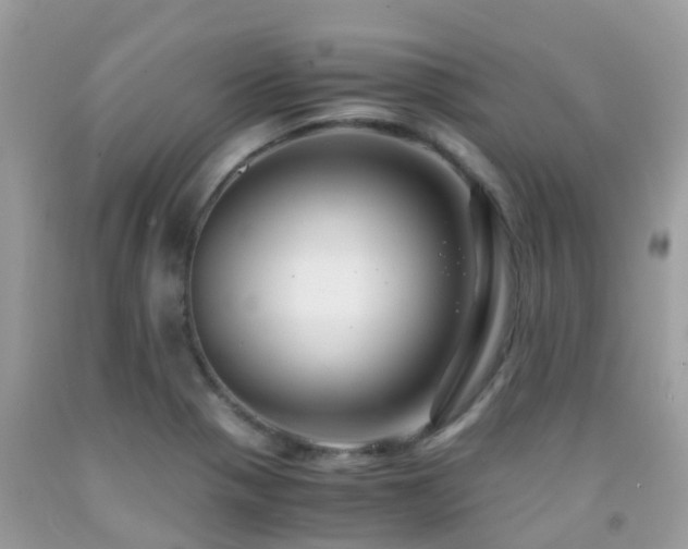 X0000091941321200709051514