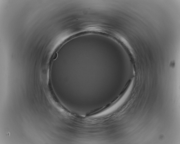 X0000091941323200709051514