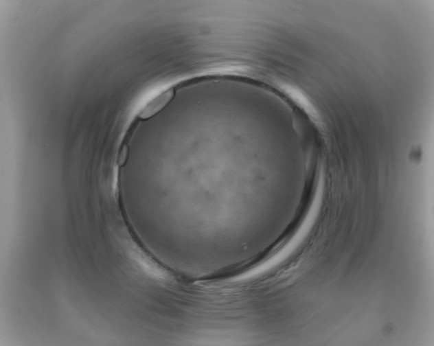 X0000091941324200709051514