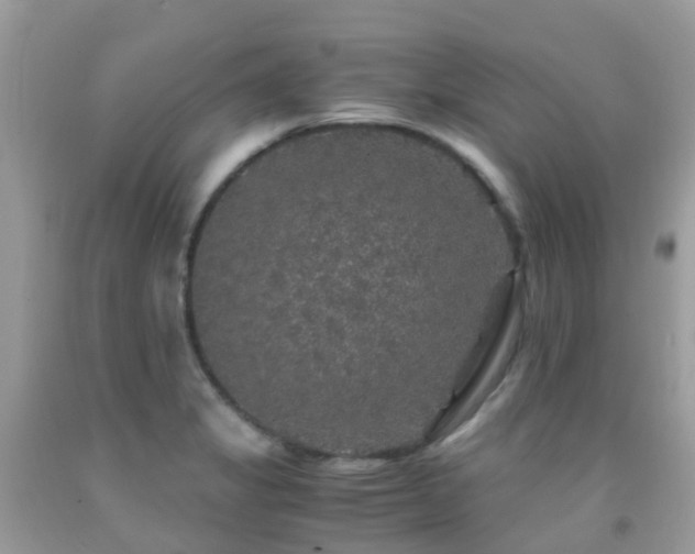 X0000091941325200709051514