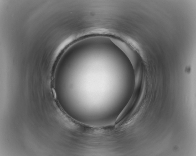 X0000091941326200709051514